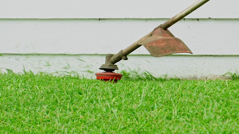 Best Soil Testing and Treatment  in Jamestown, NY